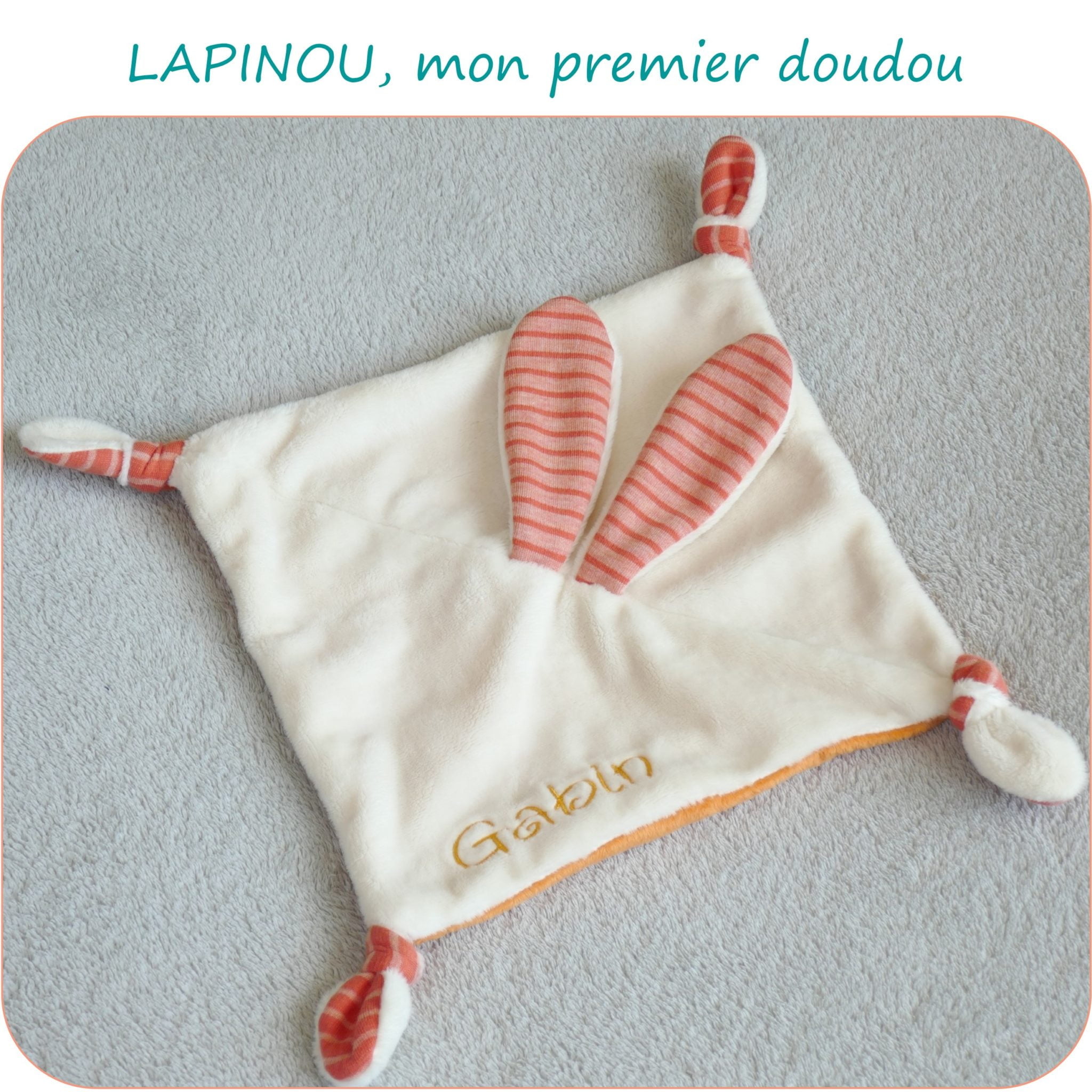 PDO-14_0_LAPINOU-PresentationSite_PetitsDom