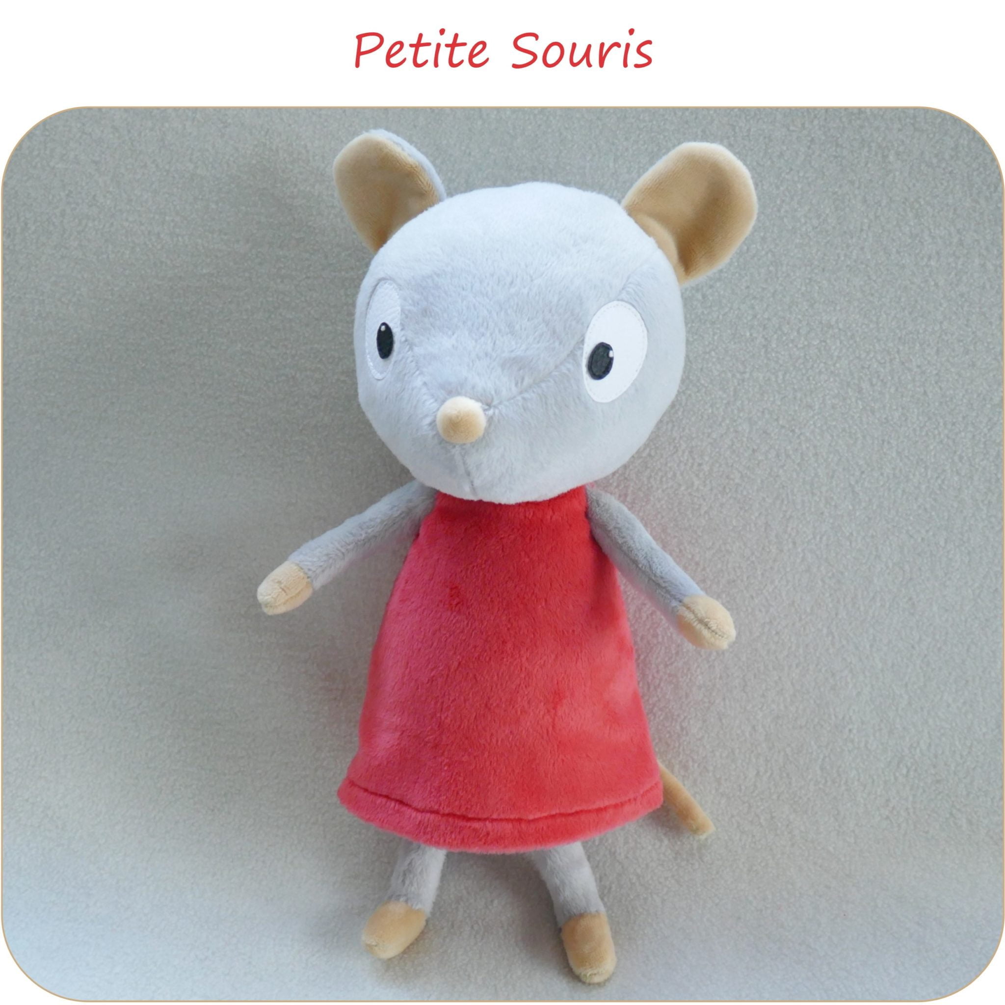 PDO-16_0_PetiteSouris-PresentationSite_PetitsDom