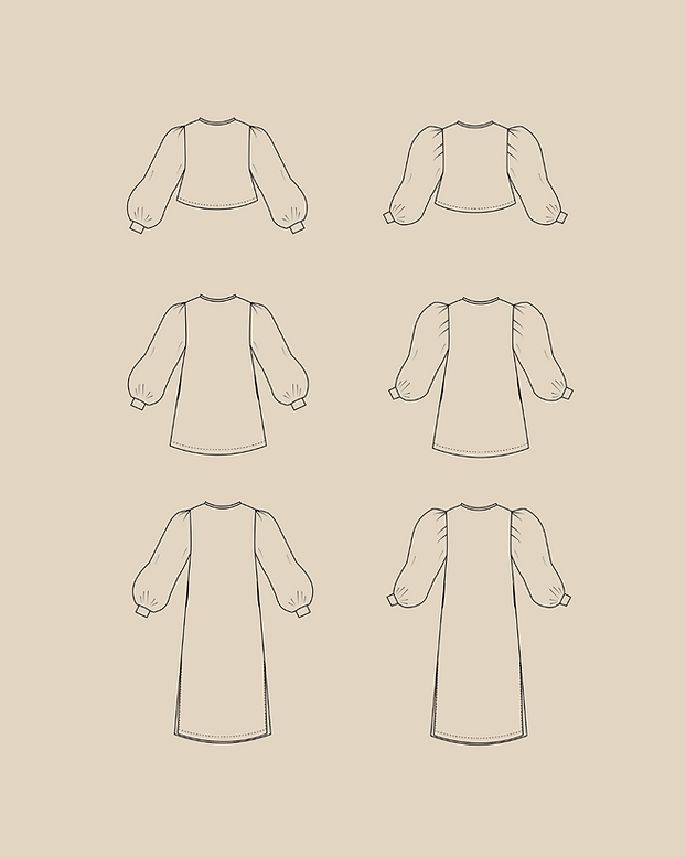 505178_19b02ec893d94cc88d1e06ee201f62ca_mv2