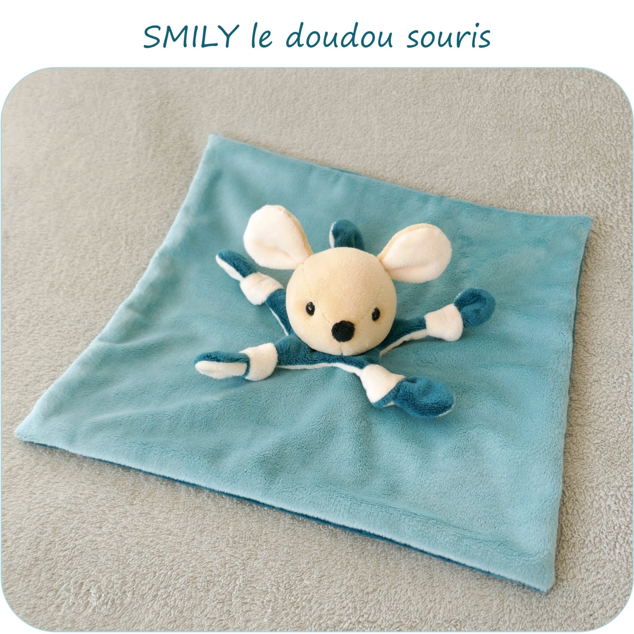 SMILY-PresentationSite_PetitsDom