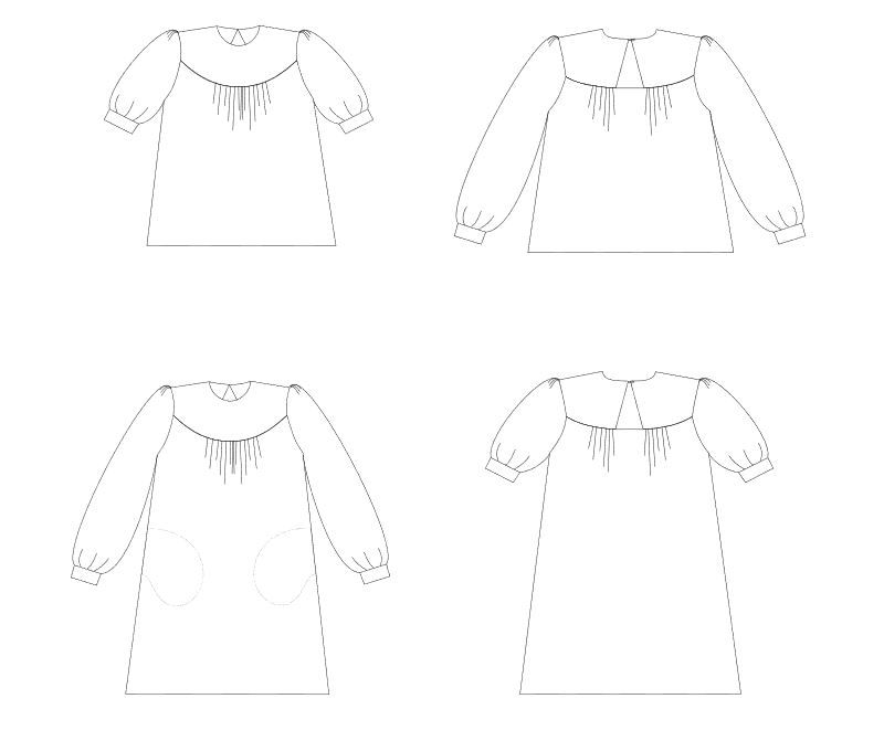 Châtaigne dessin technique