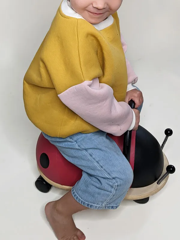 Patron-sweat-chouette-coccinelle