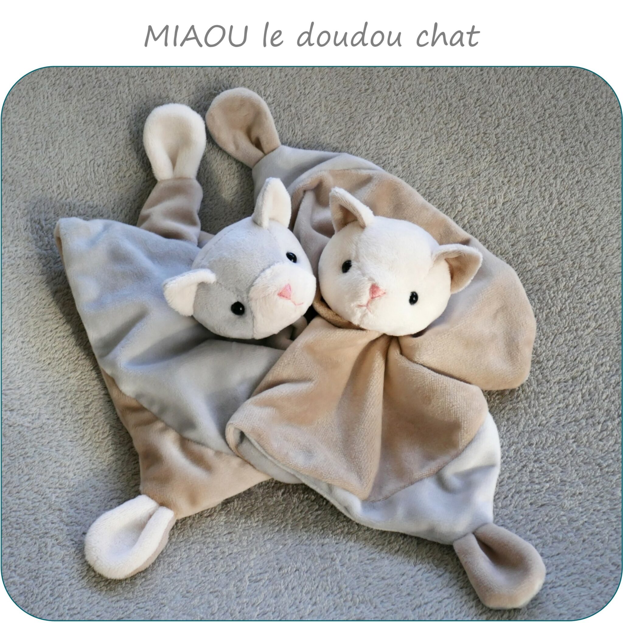 MIAOU-PresentationSite_PetitsDom