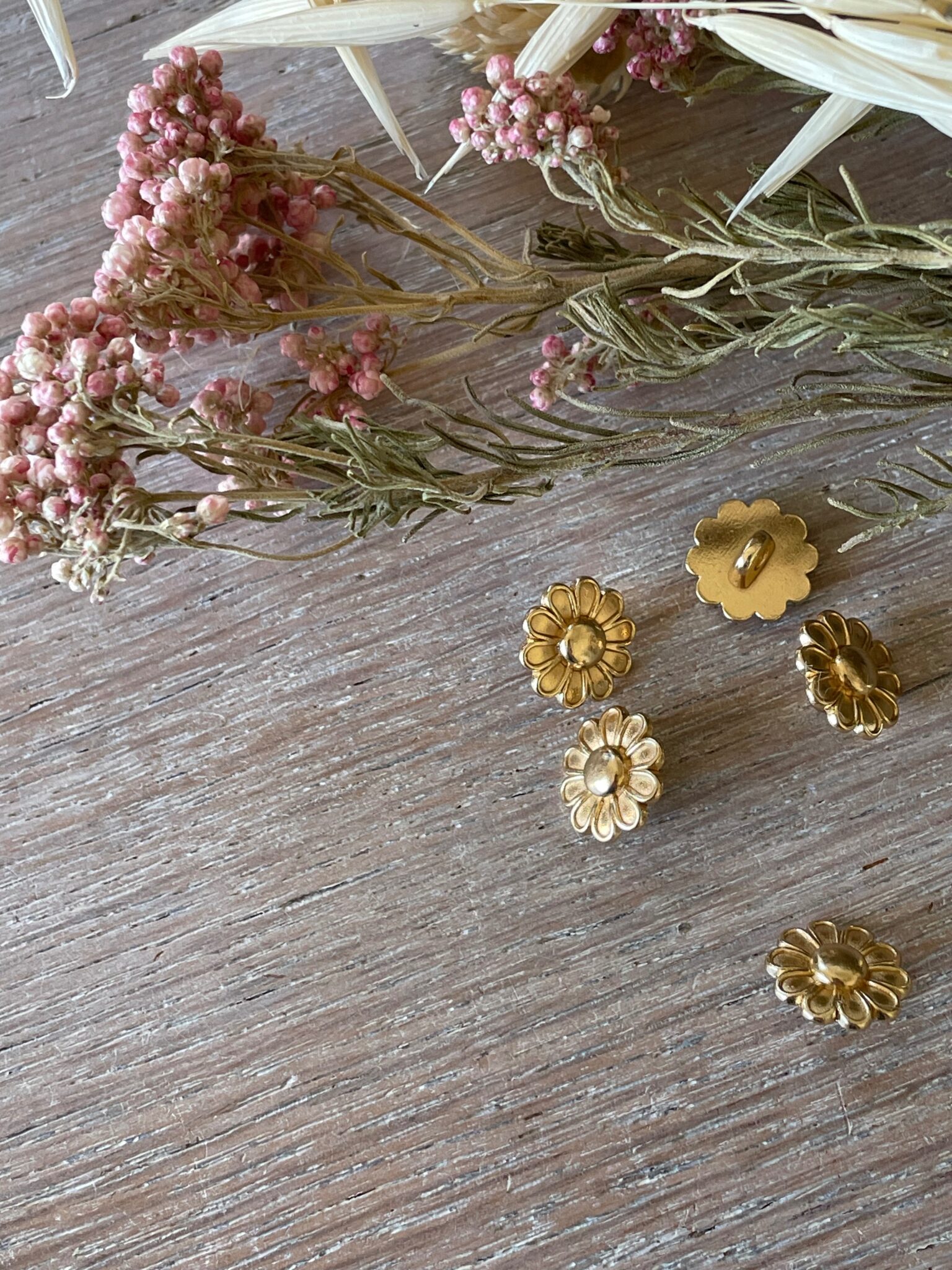 E2E73832-63E1-43CE-BA61-0DD3C94B0427_L0_001-15_04_2025 16_42_21 - Marion Sermonet