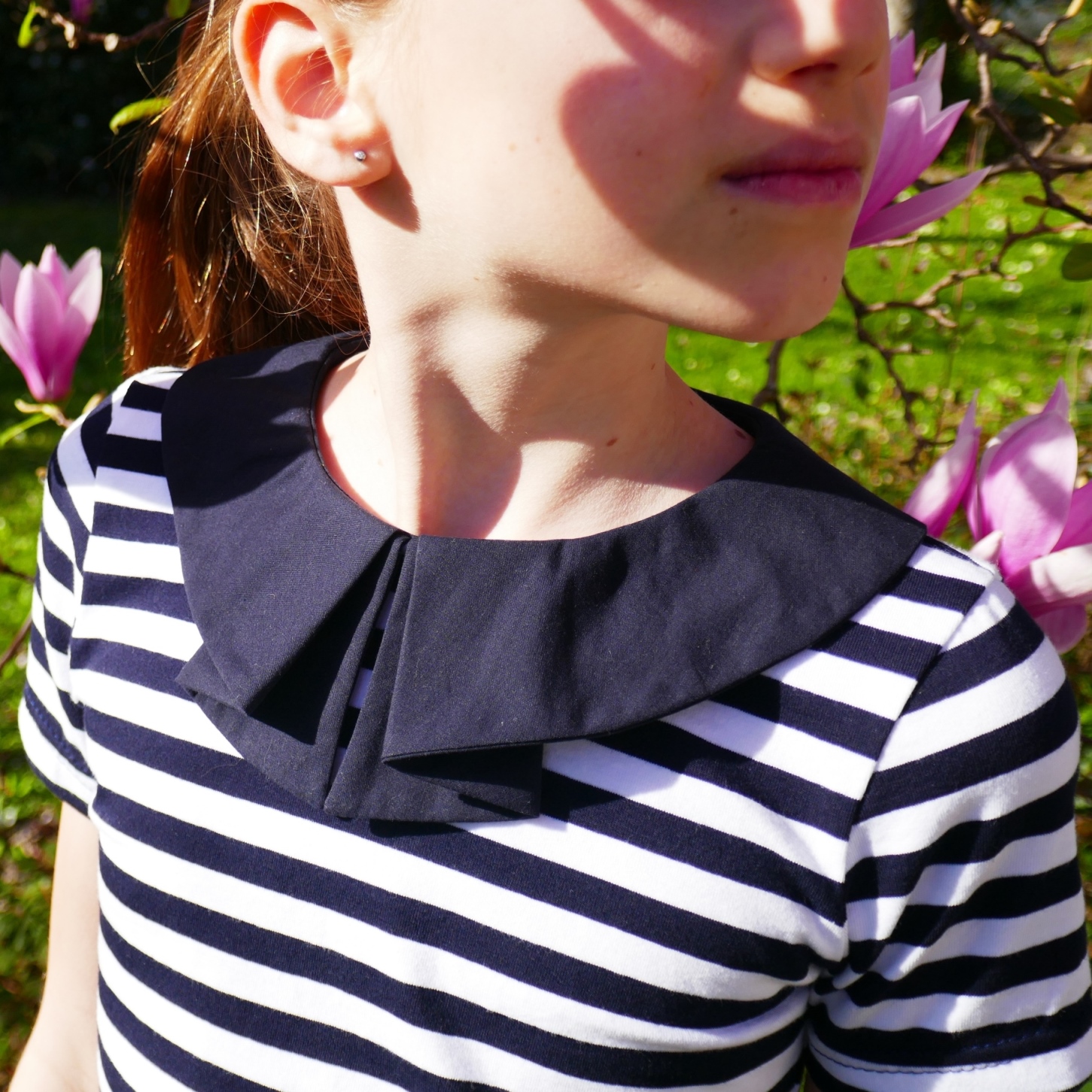 P1210725 - Petits D_om